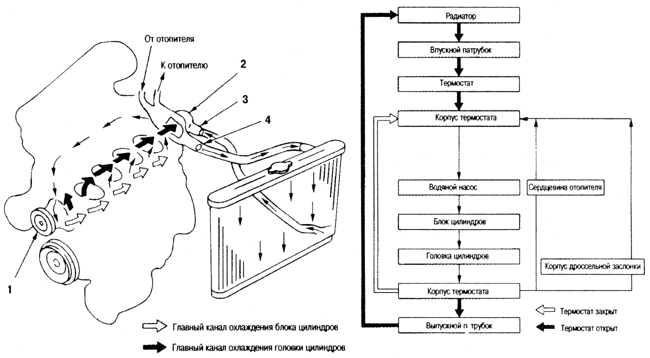 Схема охлаждения двигателя ниссан